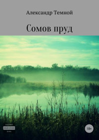 Александр Валерьевич Темной — Сомов пруд