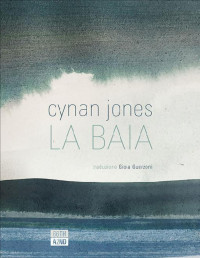 Cynan Jones — La baia