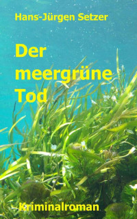 Hans-Juergen Setzer [Setzer, Hans-Juergen] — Der meergruene Tod (Leon Walters ermittelt 2) (German Edition)