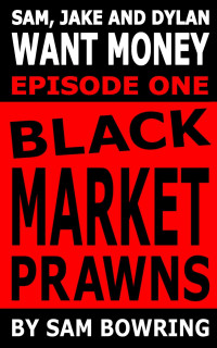 Sam Bowring [Bowring, Sam] — Sam, Jake and Dylan Want Money: Episode 1 - Black Market Prawns