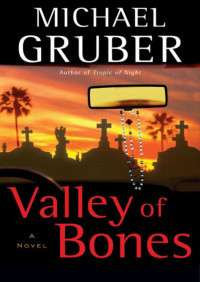 Michael Gruber — Valley of Bones