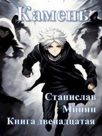 Станислав Николаевич Минин — Камень. Книга 12