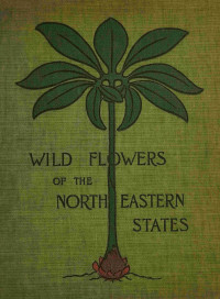 Ellen Miller, Margaret Christine Whiting — Wild flowers of the north-eastern states; Being Three Hundred and Eight Individuals Common to the North-eastern United States