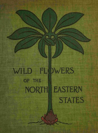 Ellen Miller & Margaret Christine Whiting — Wild flowers of the north-eastern states