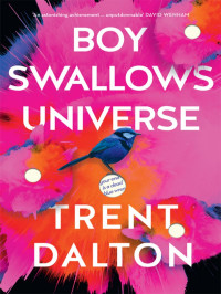 Trent Dalton — Boy Swallows Universe