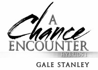 Gale Stanley — A Chance Encounter