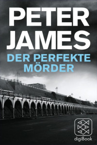 James, Peter — Der perfekte Mörder