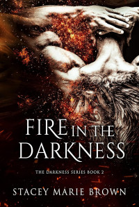 Stacey Marie Brown — Fire in the darkness