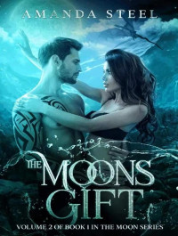 Amanda Steel — In the Starlight: A Fated Mate Werewolf Shifter Romance (The Moons Gift Book 2 the End)