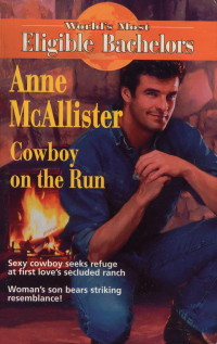 Anne Mcallister — Cowboy on the Run