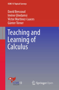 David Bressoud & Imène Ghedamsi & Victor Martinez-Luaces & Günter Törner — Teaching and Learning of Calculus