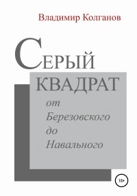 Владимир Алексеевич Колганов — Серый квадрат: от Березовского до Навального