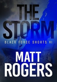 Matt Rogers — The Storm
