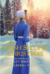 Shelley Shepard Gray & Patricia Johns & Virginia Wise [Gray, Shelley Shepard & Johns, Patricia & Wise, Virginia] — An Amish Second Christmas