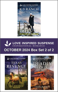 Darlene L. Turner, Jill Elizabeth Nelson and Cathy McDavid — Love Inspired Suspense October 2024 Box Set 2 of 2