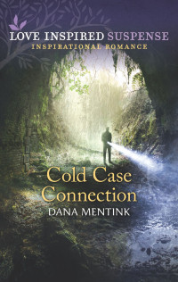 Dana Mentink — Cold Case Connection