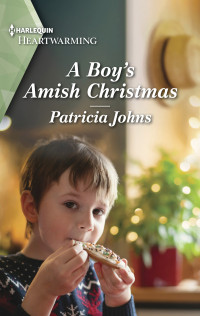 Patricia Johns — A Boy's Amish Christmas