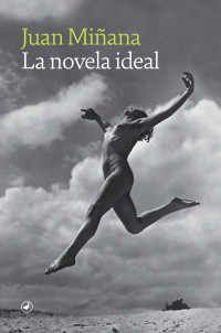 Juan Miñana — La novela ideal