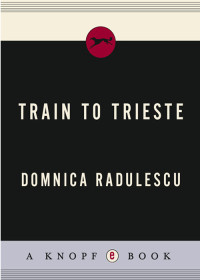 Domnica Radulescu — Train to Trieste