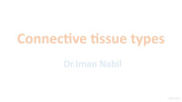 Iman Nabil — Connective tissue types