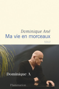 Ane Dominique — Ma vie en morceaux