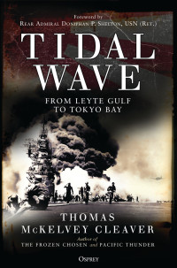 Thomas McKelvey Cleaver — Tidal Wave