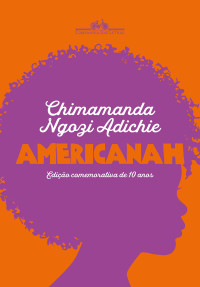Chimamanda Ngozi Adichie — Americanah