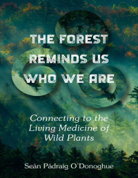Sean Padraig O'Donoghue — The Forest Reminds Us Who We Are