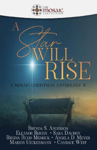 Brenda S. Anderson & Eleanor Bertin & Sara Davison & Angela D. Meyer & Regina Rudd Merrick & Marion Ueckermann & Candace West — A Star Will Rise: A Mosaic Christmas Anthology II (Mosaic Collection 17)