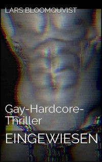 Lars Bloomquvist — Eingewiesen: Gay-Hardcore-Thriller