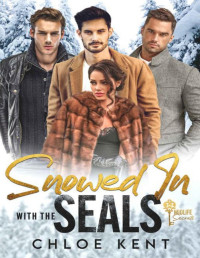 Chloe Kent — Snowed in with the SEALs