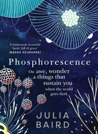 Julia Baird — Phosphorescence