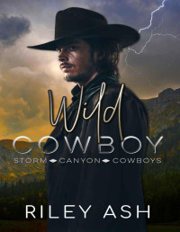 Riley Ash — Wild Cowboy: A Secret Baby Romance (Storm Canyon Cowboys Book 3)