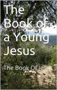 Cleo O'Rear [O'Rear, Cleo] — The Book of a Young Jesus: The Book of Jesus (The Scrolls 2)