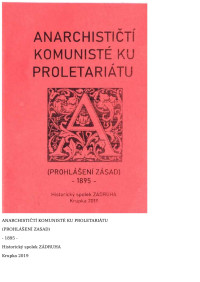 International Working Peoples Association of America — Anarchističtí komunisté ku proletariátu (prohlášení zásad 1895)