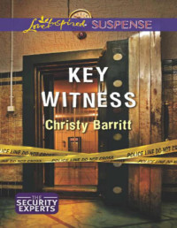 Christy Barritt — Key Witness