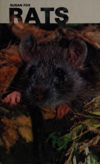 Susan Fox — Rats
