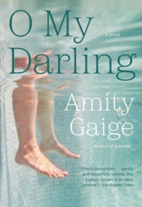 Amity Gaige  — O My Darling