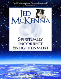 Jed McKenna — Spiritually Incorrect Enlightenment (The Enlightenment Trilogy Book 2)