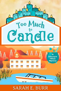 Sarah E. Burr — Too Much to Candle (Glenmyre Whim Mystery 2)