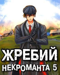 Евгений Решетов — Жребий некроманта 5