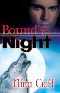 Nina Croft — Bound to Night - Sisters of the Moon, Book 1