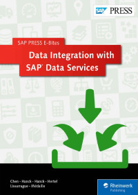 Bing Chen & James Hanck & Patrick Hanck & Scott Mertel & Allen Lissarrague — Data Integration with SAP Data Services (SAP PRESS E-Bites Book 5)