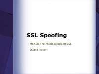 Duane — SSL Spoofing