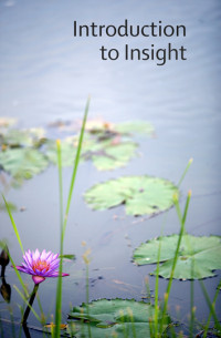 Amaravati Publications — Introduction to Insight Meditation
