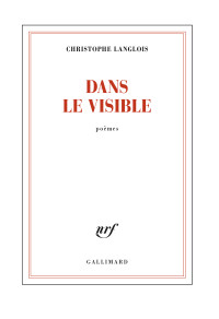 Dans le visible — Christophe Langlois