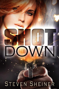 Steven Sheiner — Shot Down