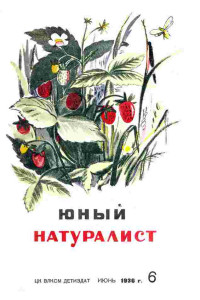 ЦК ВЛКСМ — Журнал "Юный Натуралист" №6 1936