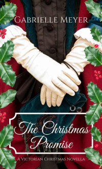 Gabrielle Meyer — The Christmas Promise