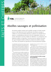 Lukas Pfiffner (Institut de recherche de l’agriculture biologique FiBL), Andreas Müller (Natur Umwelt Wissen GmbH Zürich) — Faits et chiffres abeilles sauvages et pollinisation